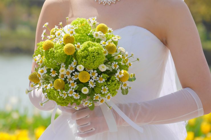 年の差結婚～中高年の場合～のイメージ画像